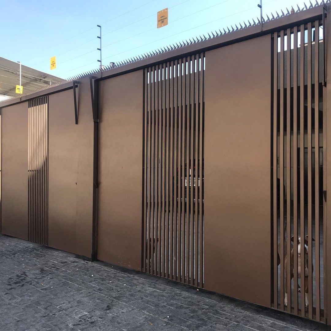 69565277_482151042619497_1651095611812178318_n